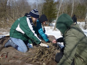 SUNY New Paltz students participate in Alternative Spring Break 2014. 