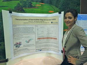 Maria presenting research at the 2014 CSTEP conference in Lake George, N.Y.