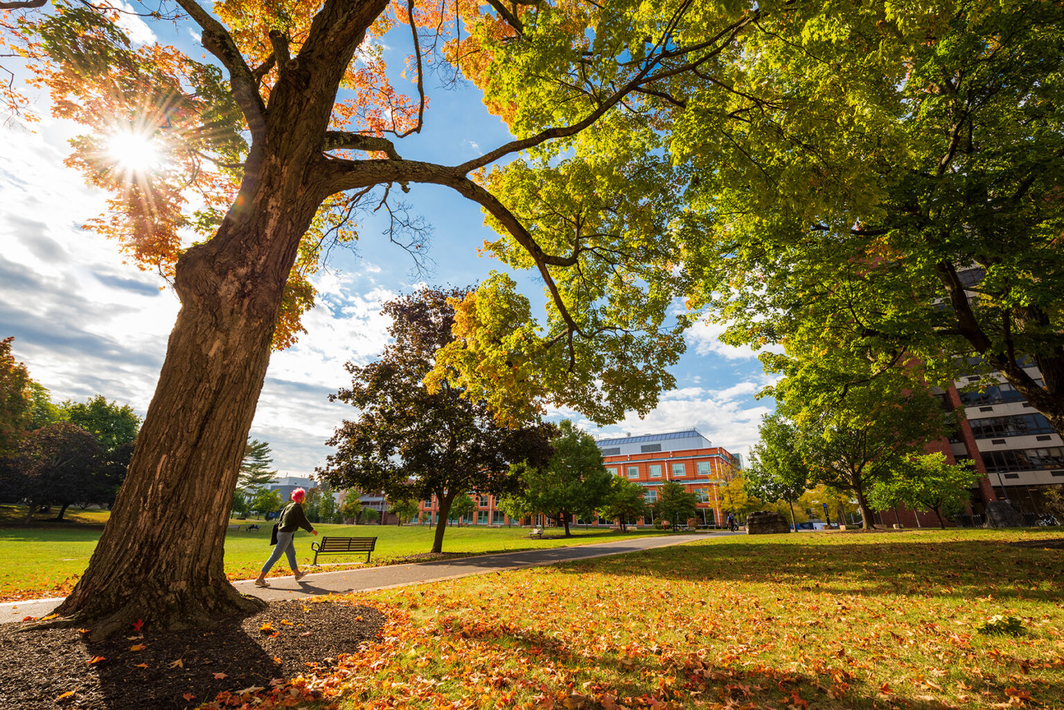 SUNY New Paltz rises across the board, earns more accolades than ever