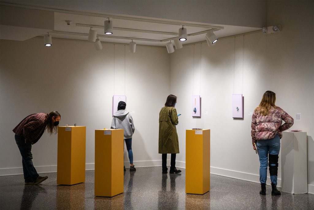 Spring 2022 BFA Thesis Exhibition (Photos) SUNY New Paltz News