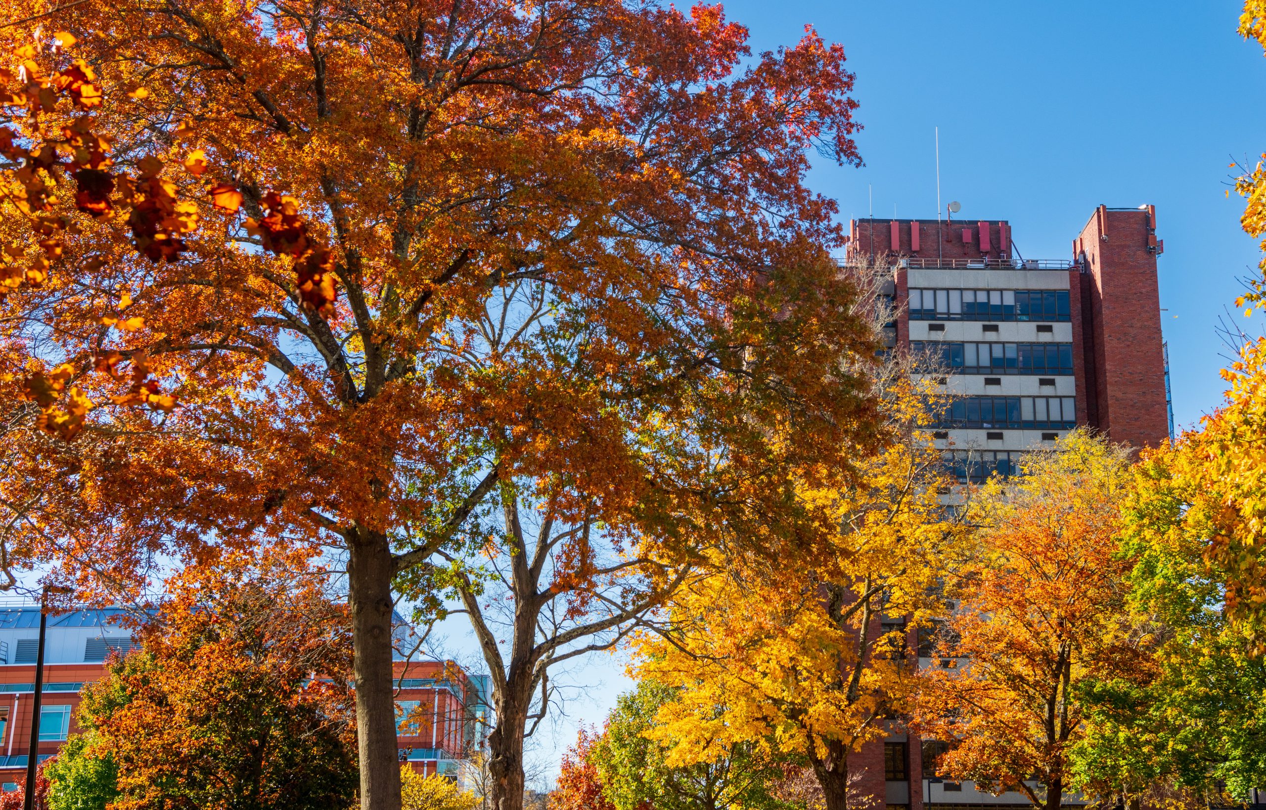 University publishes fall 2022 Dean’s List SUNY New Paltz News